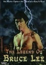 Legend of Bruce Lee