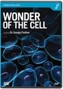 Wonder of the Cell