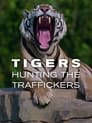Tigers: Hunting the Traffickers