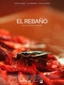 El rebaño