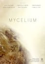 Mycelium