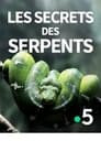 Les secrets des serpents