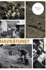 Havråtunet