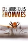 Des Moustiques et des Hommes