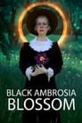 Black Ambrosia Blossom