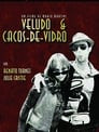 Veludo & Cacos de Vidro