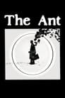 The Ant