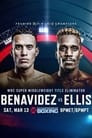 David Benavidez vs. Ronald Ellis