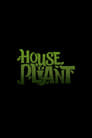 House Plant