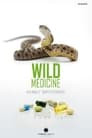 Wild Medicine: Animals' Superpowers