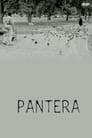 Pantera