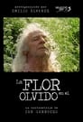 La flor en el olvido