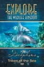 Explore the Wildlife Kingdom: Dolphins - Tribes of the Sea