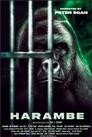 Harambe