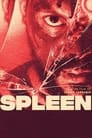 Spleen