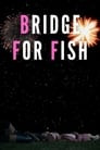 Bridge For Fish