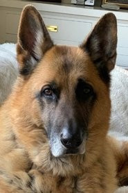 Silas Archer Gustav Silas Archer Gustav