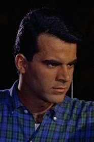 Robert Fields Robert Fields