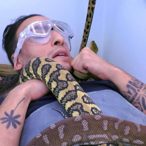 Season 18 Episode 15