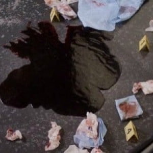 Season 8 Episode 15