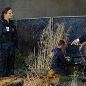 Season 8 Episode 8