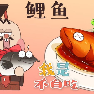 Season 1 Episode 101