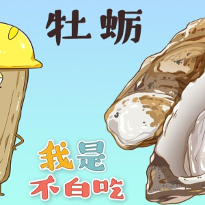 Season 1 Episode 111