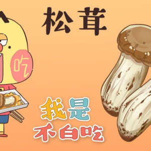 Season 1 Episode 139