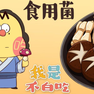 Season 1 Episode 148