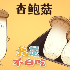 Season 1 Episode 154