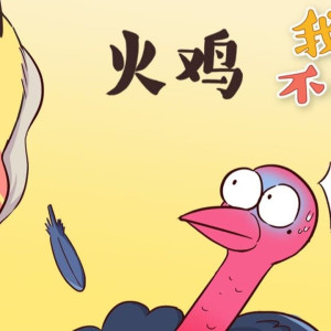 Season 1 Episode 170