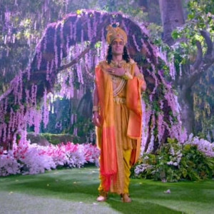 Season 1 Episode 115