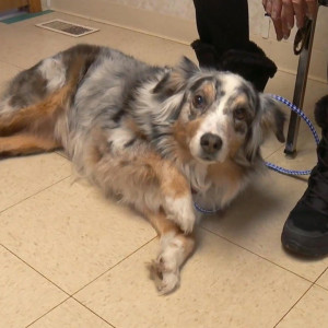 Season 13 Episode 13