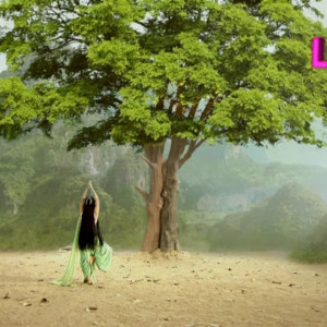 Season 12 Episode 11