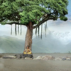 Season 28 Episode 11