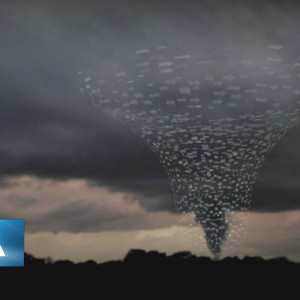 Season 40 Episode 20