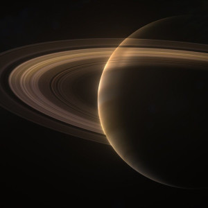 Season 46 Episode 15