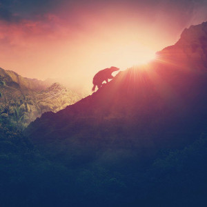 Season 46 Episode 19