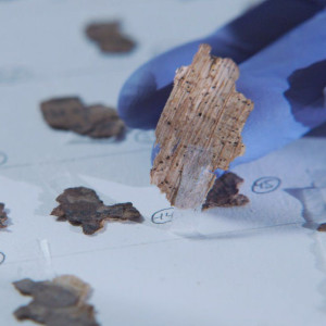 Season 46 Episode 20