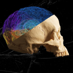 Season 46 Episode 22