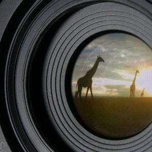 Season 46 Episode 23