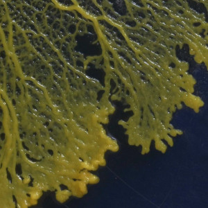 Season 47 Episode 12