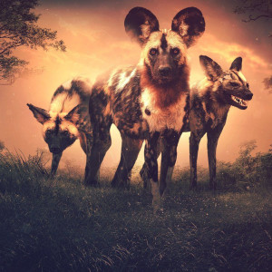 Season 47 Episode 15