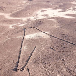 Season 52 Episode 17