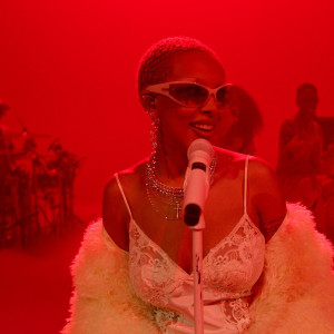 Season 27 Episode 29