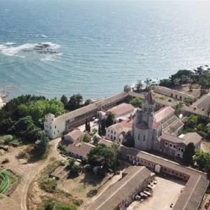 Season 10 Episode 11