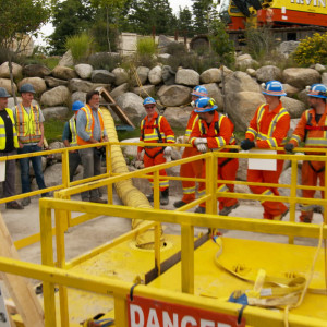 Season 10 Episode 13