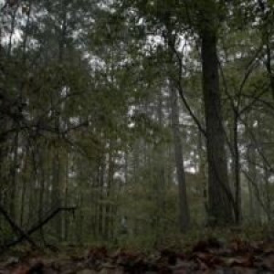 Season 2 Episode 3