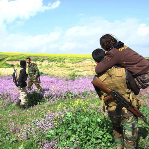 Season 33 Episode 12