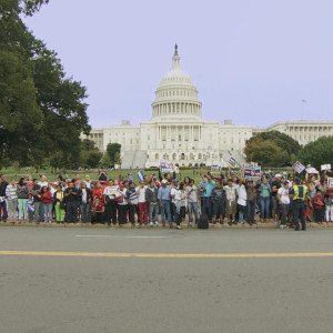 Season 33 Episode 17